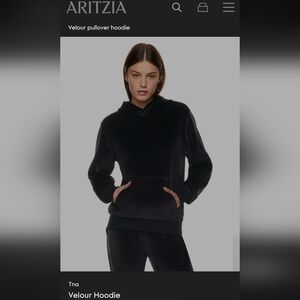 ARITZIA TNA Velour Pullover Hoodie,Cozy Plush,L